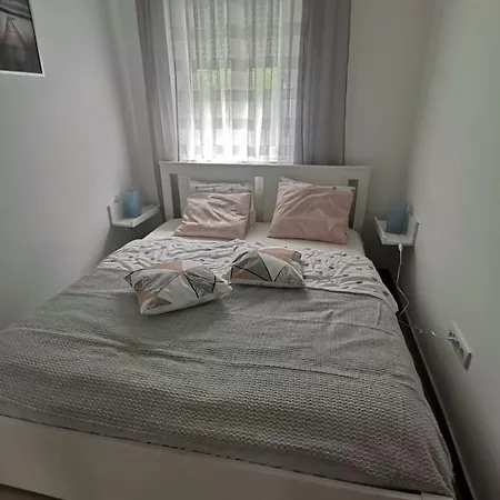 Apartament Misic