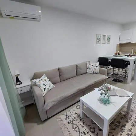 Apartament Misic *