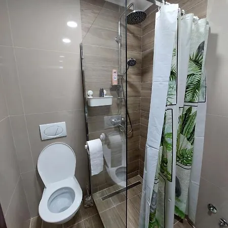 Apartament Misic *